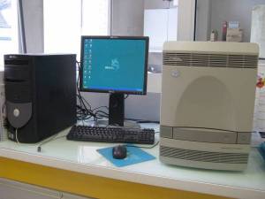 PCR